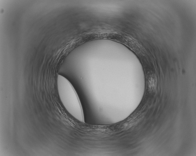X0000088591204200705250755