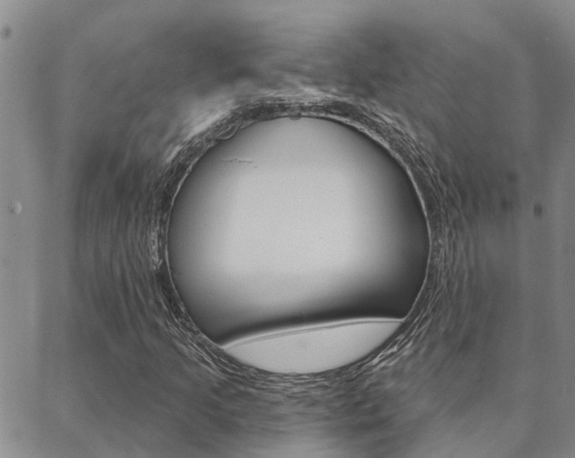X0000088591205200705250755