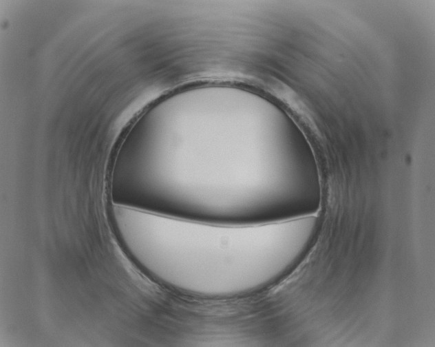 X0000088591229200705250755