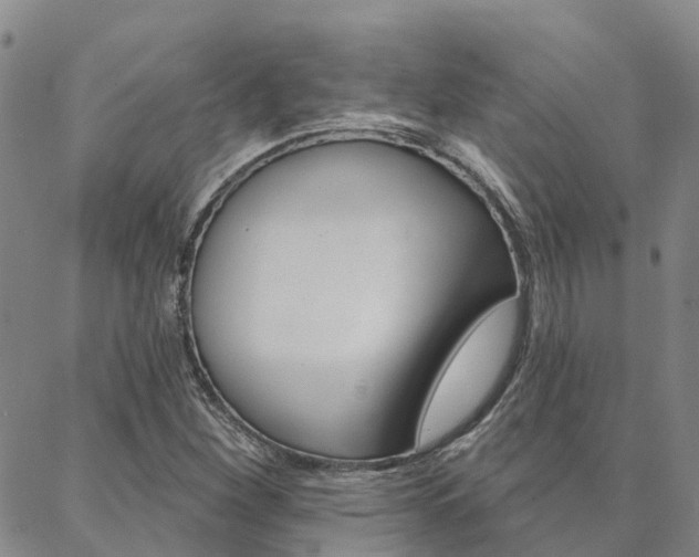 X0000088591260200705250754