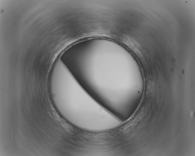 X0000088591268200705250754