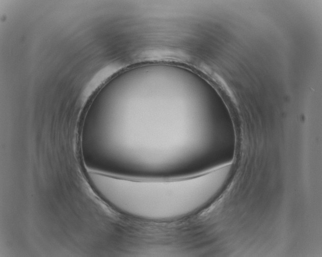 X0000088591277200705250754