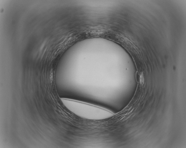 X0000088591299200705250753