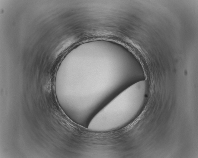 X0000088591306200705250753