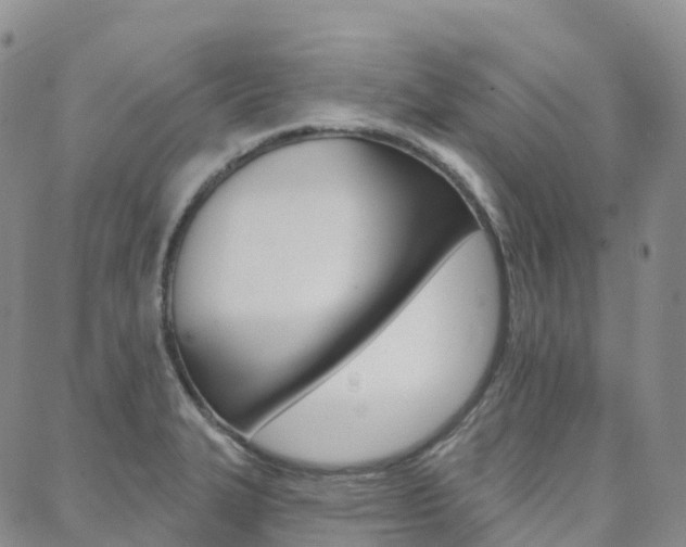 X0000088591327200705250753