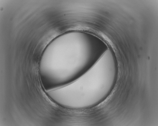X0000088591329200705250754
