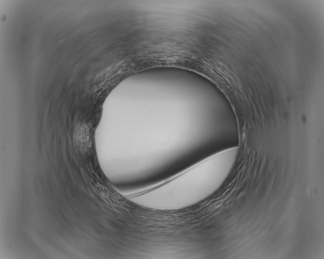 X0000088591347200705250753
