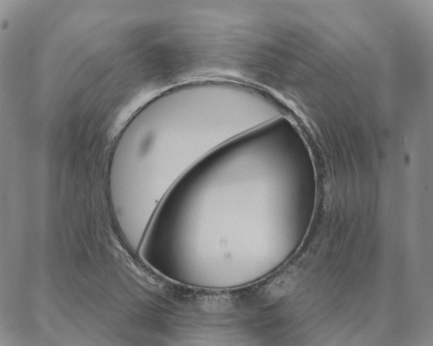 X0000088591363200705250753