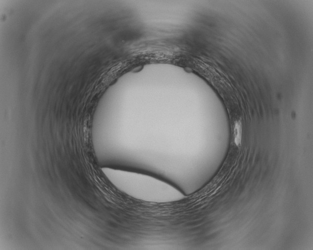 X0000088591395200705250751