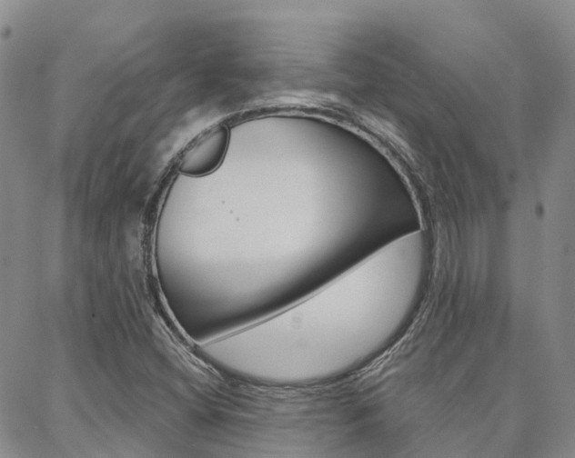 X0000088591404200705250752
