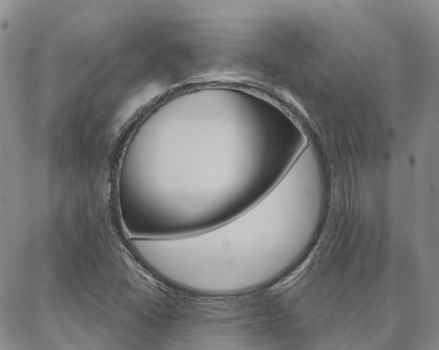 X0000088591406200705250752