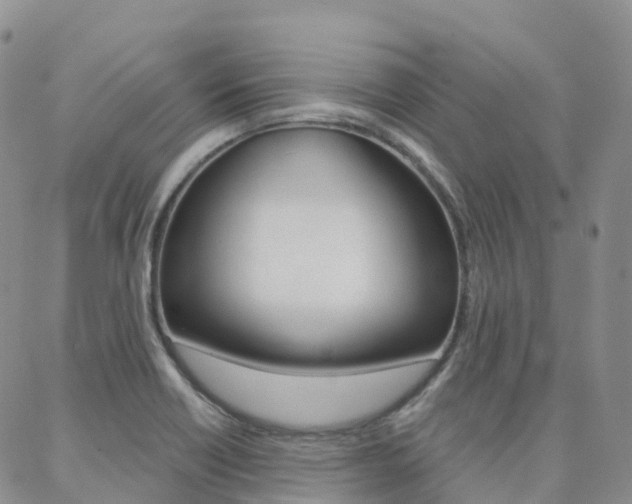 X0000088591418200705250752