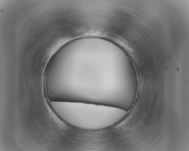 X0000088591423200705250752