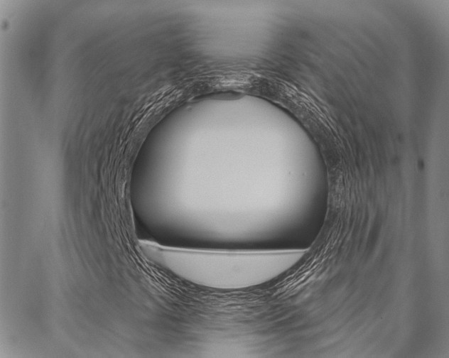 X0000088591441200705250751