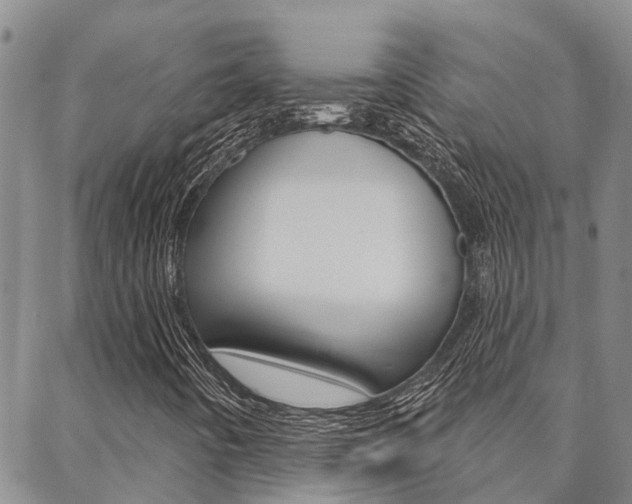 X0000088591442200705250751