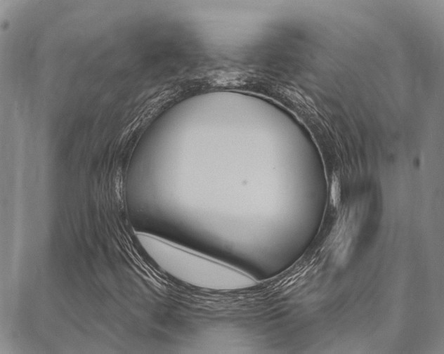 X0000088591444200705250751