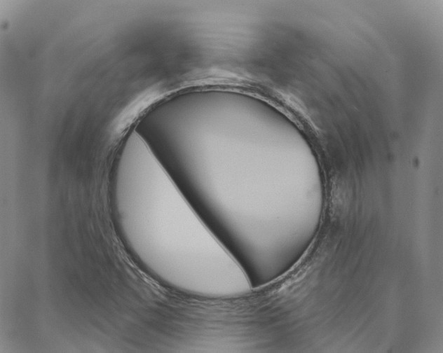 X0000088591455200705250751