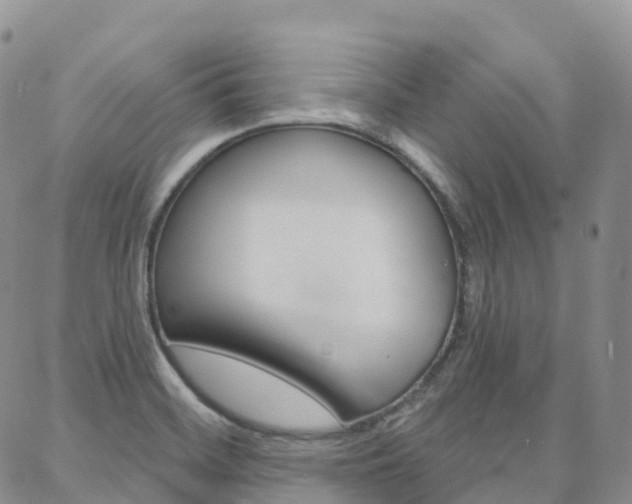 X0000088591468200705250751