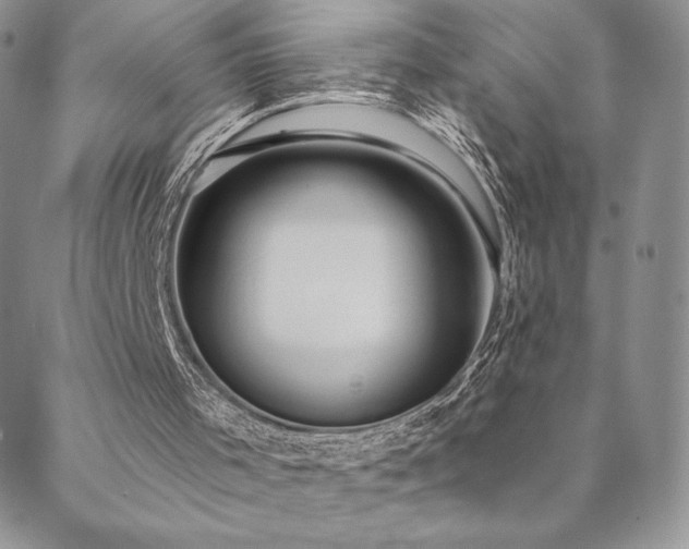 X0000088590001200705251201