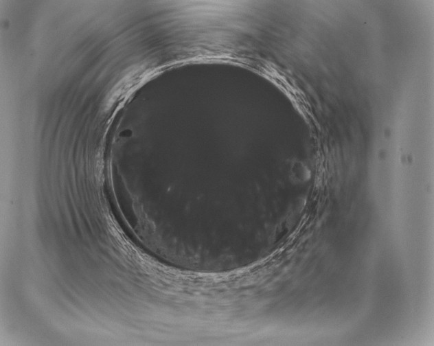 X0000088590002200705251201