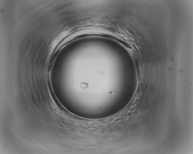 X0000088590003200705251201