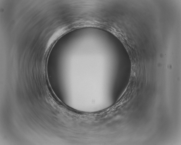 X0000088590004200705251201