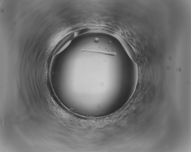 X0000088590005200705251201