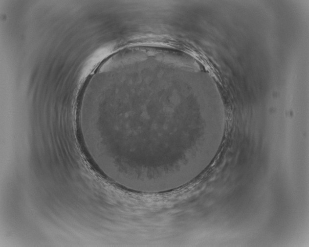 X0000088590006200705251201