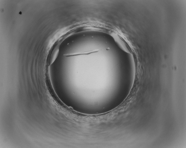 X0000088590007200705251201