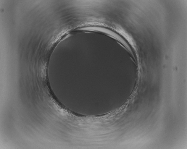 X0000088590009200705251201