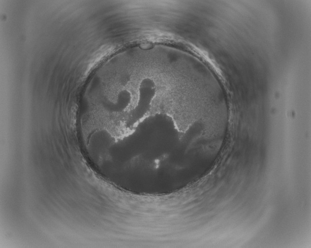 X0000088590010200705251201