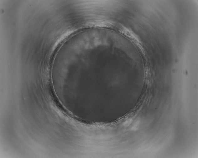 X0000088590012200705251200