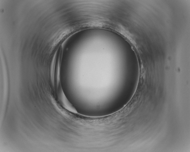 X0000088590013200705251200