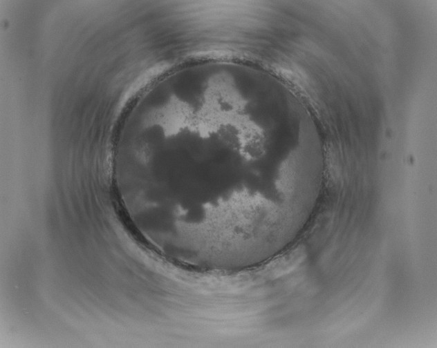 X0000088590016200705251200