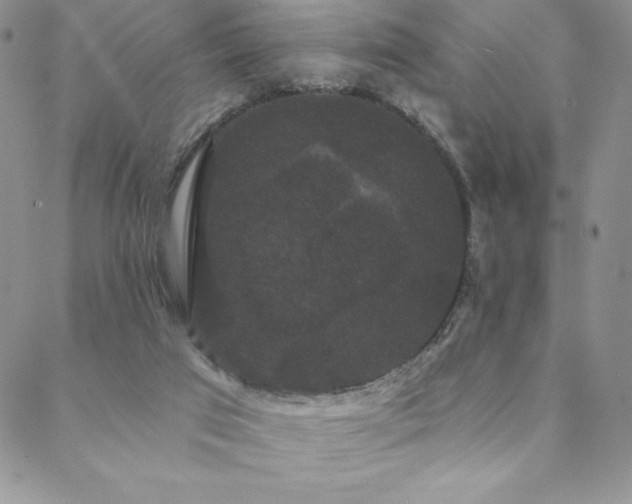 X0000088590017200705251200