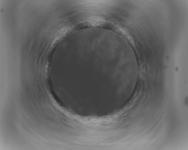 X0000088590018200705251200