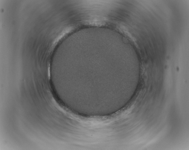 X0000088590020200705251200