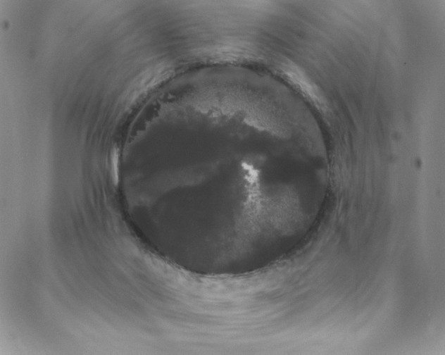 X0000088590022200705251200