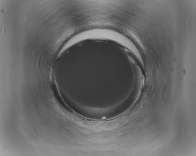 X0000088590023200705251200