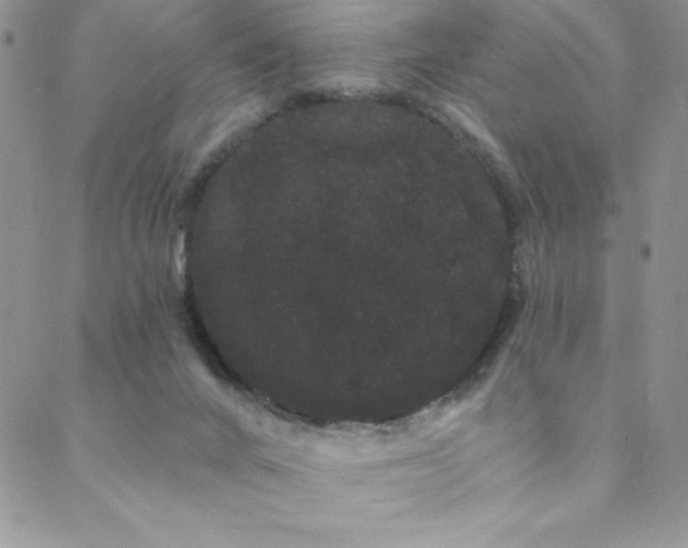 X0000088590024200705251200