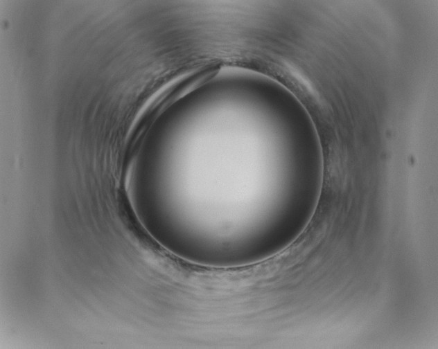 X0000088590025200705251200