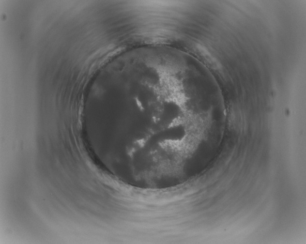 X0000088590026200705251200