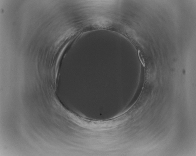 X0000088590027200705251200