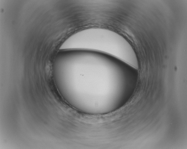 X0000088590029200705251200