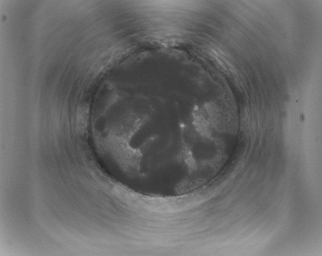 X0000088590030200705251200