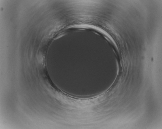 X0000088590031200705251200