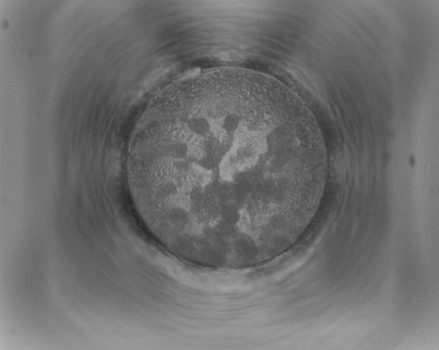 X0000088590032200705251200