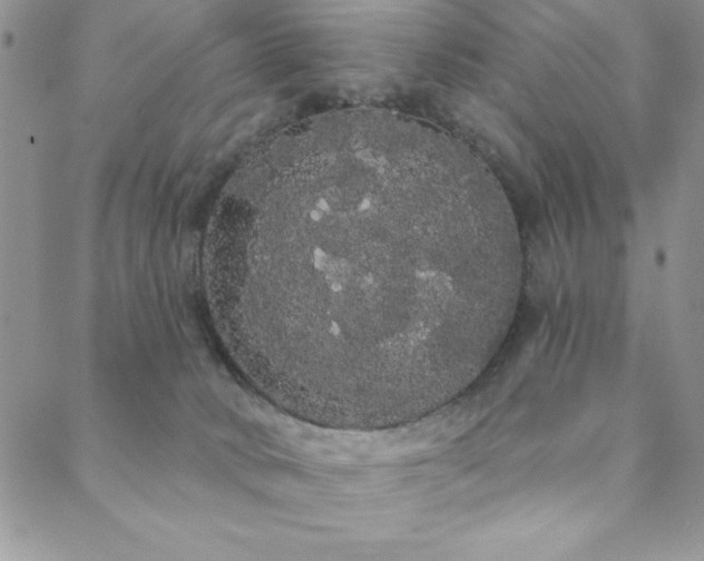 X0000088590034200705251200