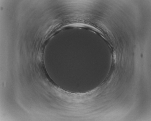 X0000088590035200705251200