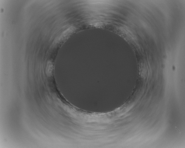 X0000088590036200705251200